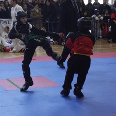 Taekwondo, XII TAE WP
