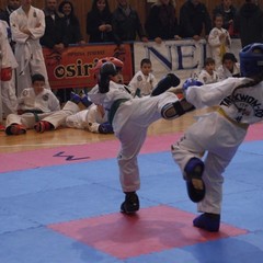 Taekwondo, XII TAE WP