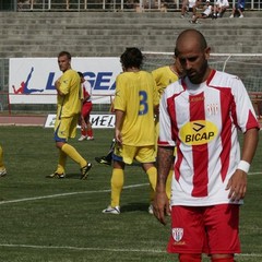 Barletta - Frosinone