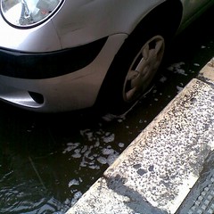 Piove a Barletta, e schiuma per le strade