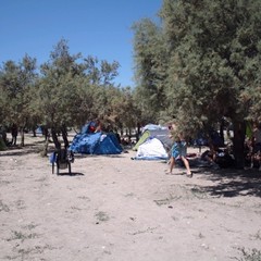 I ragazzi del festival