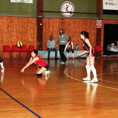 Pallavolo, la Cardo Volley vince e convince