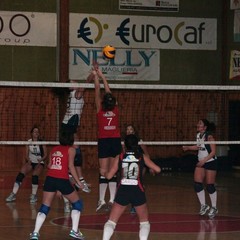 Pallavolo, la Cardo Volley vince e convince