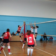 Volley, l'Asd Barletta perde a Molfetta