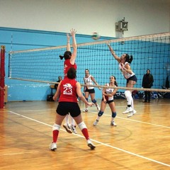 Volley, l'Asd Barletta perde a Molfetta