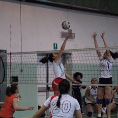 Axia Volley