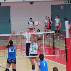 Axia Volley