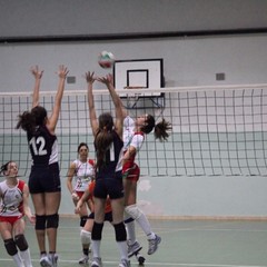 Axia Volley