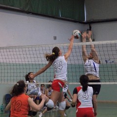 Axia Volley