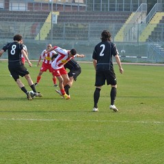 Barletta-Triestina 1-1