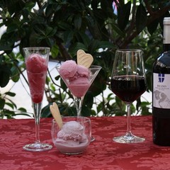 Gelato al vino di troia