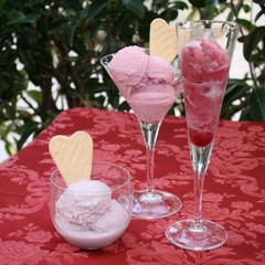 Gelato al vino di troia