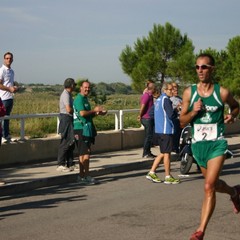 Maratonina di fine estate, il report