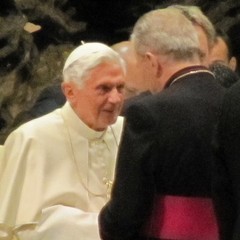 MCL incontra il Papa