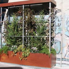 Urban Green, un giardino verticale a Barletta