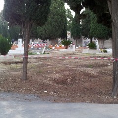 Area 11, cimitero di Barletta