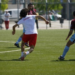 Quadrangolare di beneficenza Ant