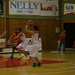 Basket, la Cestistica Barletta batte la Diamond Foggia