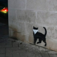 Street art contro le urine canine