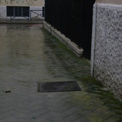 Escrementi canini in via D'Aragona