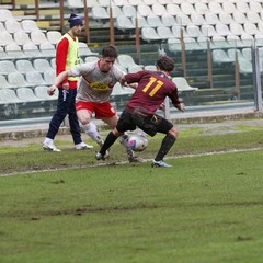 Salernitana-Barletta 3-0