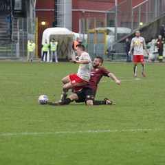 Salernitana-Barletta 3-0