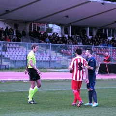 Calcio, la photogallery di Barletta-Frosinone 0-0