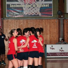 Volley, l'ASD Barletta inaugura i playoff con una vittoria