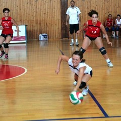 Volley, l'Agristella Barletta cede al Brindisi