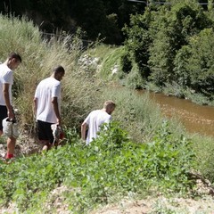 Barletta Calcio, allenamento mattutino 30 luglio
