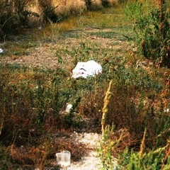 Via Violante, il regno dell'immondizia