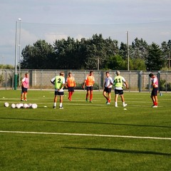Barletta Calcio, allenamento al "Manzi" in vista del Pisa