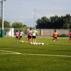 Barletta Calcio, allenamento al "Manzi" in vista del Pisa