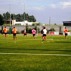 Barletta Calcio, allenamento al "Manzi" in vista del Pisa