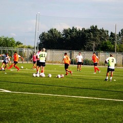 Barletta Calcio, allenamento al "Manzi" in vista del Pisa