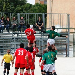 Draghi Bat-Potenza Rugby