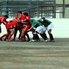 Draghi Bat-Potenza Rugby