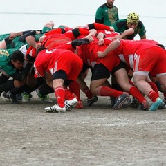 Draghi Bat-Potenza Rugby