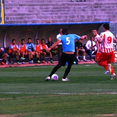 Calcio, la photogallery di Barletta-Salernitana