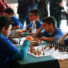 Campionati Giovanili Studenteschi di scacchi, fase provinciale