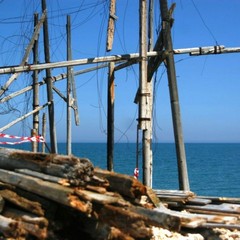 Le condizioni "disperate" del trabucco