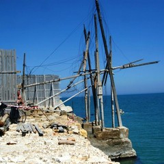 Le condizioni "disperate" del trabucco