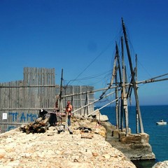 Le condizioni "disperate" del trabucco