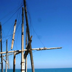 Le condizioni "disperate" del trabucco