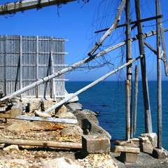 Le condizioni "disperate" del trabucco