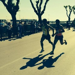 Vivi Barletta 2014, l'arrivo