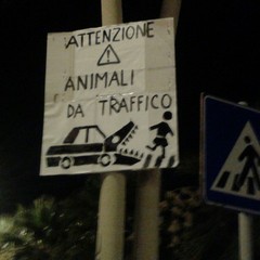 Attenzione: animali da traffico