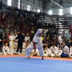 Taekwondo e kickboxing, tanti sorrisi per l'ASD Federico II