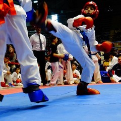 Taekwondo e kickboxing, tanti sorrisi per l'ASD Federico II