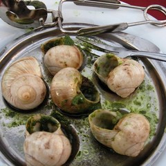 Cucina Mondiale, terza puntata: Francia-Honduras